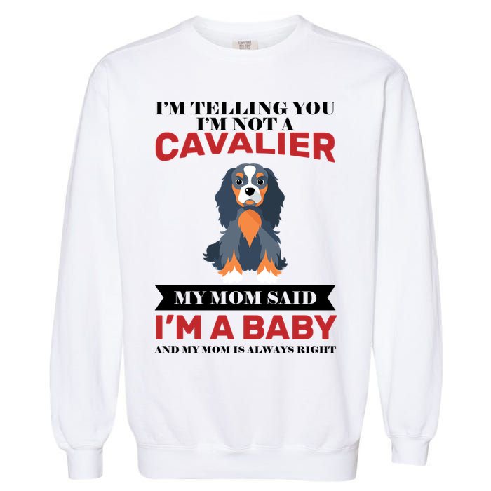 Spoiled King Charles Cavalier Garment-Dyed Sweatshirt