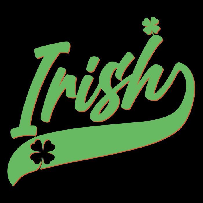 Sporty St. Patrick's Day Irish Logo Wool Snapback Cap
