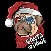 Santa Paws Pug Christmas Tee Kids Boys Xmas Funny Gift Pugmas Gift 16 in Basic Backpack