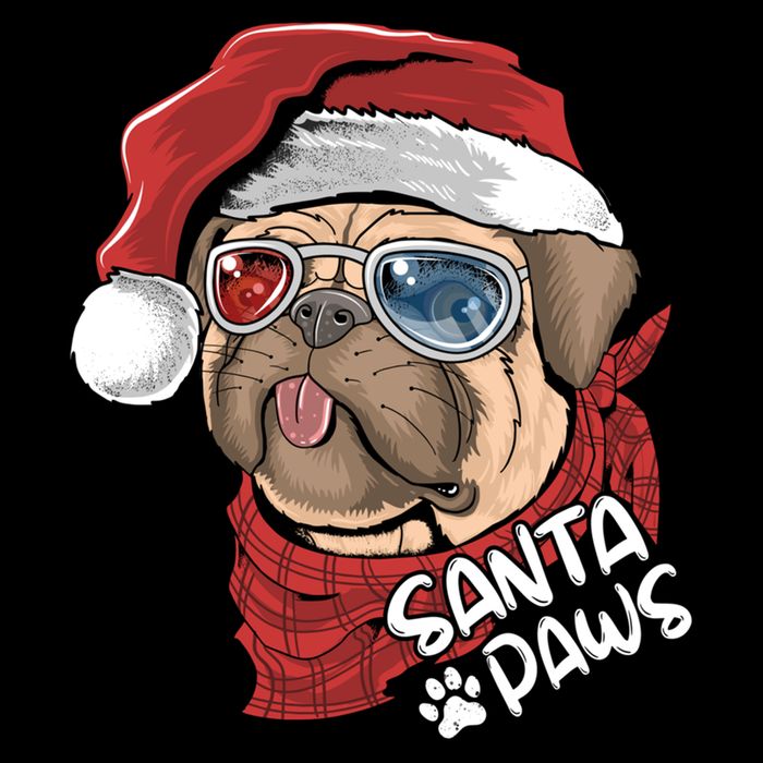 Santa Paws Pug Christmas Tee Kids Boys Xmas Funny Gift Pugmas Gift 16 in Basic Backpack