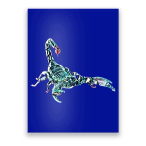 Scorpio Poisonous Pets Terrarium Animals Scorpion Gift Poster