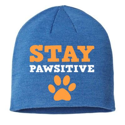 Stay Pawsitive Positive And Pet Lover Gift Sustainable Beanie