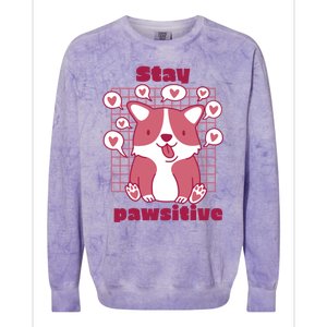 Stay Pawsitive Retro Awesome Cute Dog Lover Present Great Gift Colorblast Crewneck Sweatshirt