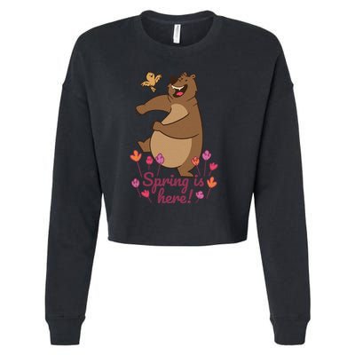 Spring Is Here Cropped Pullover Crew