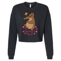 Spring Is Here Cropped Pullover Crew