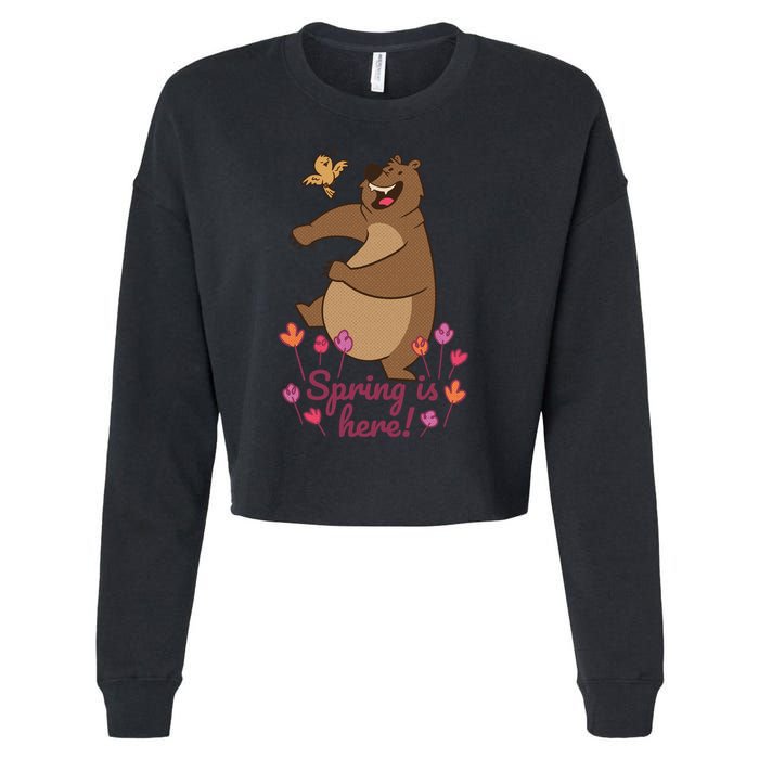 Spring Is Here Cropped Pullover Crew