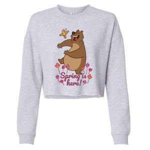 Spring Is Here Cropped Pullover Crew