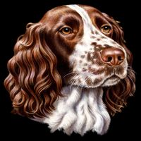 Springer Spaniel Dog Bag