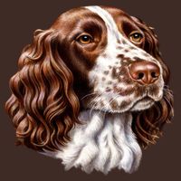 Springer Spaniel Dog Cooling Performance Crew T-Shirt
