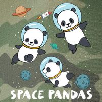 Space Pandas Shirts Funny Astronaut Planet Travel Tee Legacy Tie Dye Trucker Hat