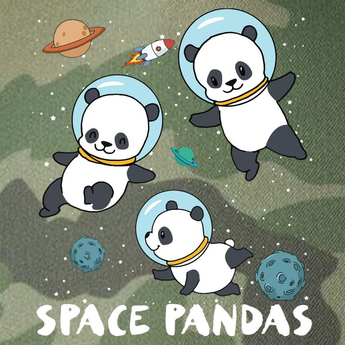 Space Pandas Shirts Funny Astronaut Planet Travel Tee Legacy Tie Dye Trucker Hat