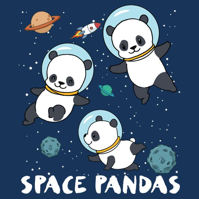Space Pandas Shirts Funny Astronaut Planet Travel Tee Cool Comfort Performance Bucket Hat