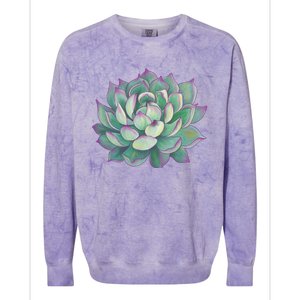 Succulent Plant Colorblast Crewneck Sweatshirt