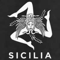 Sicilian Pride Sicilia Sicilian Flag Trinacria 11oz C Handle Ceramic Mug