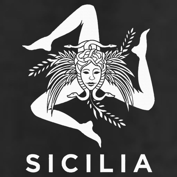 Sicilian Pride Sicilia Sicilian Flag Trinacria 11oz C Handle Ceramic Mug