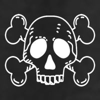 Skull Pirate Adult Drive Performance Visor