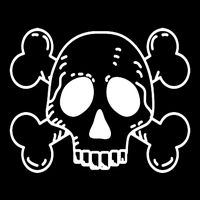 Skull Pirate Youth Performance Sprint T-Shirt