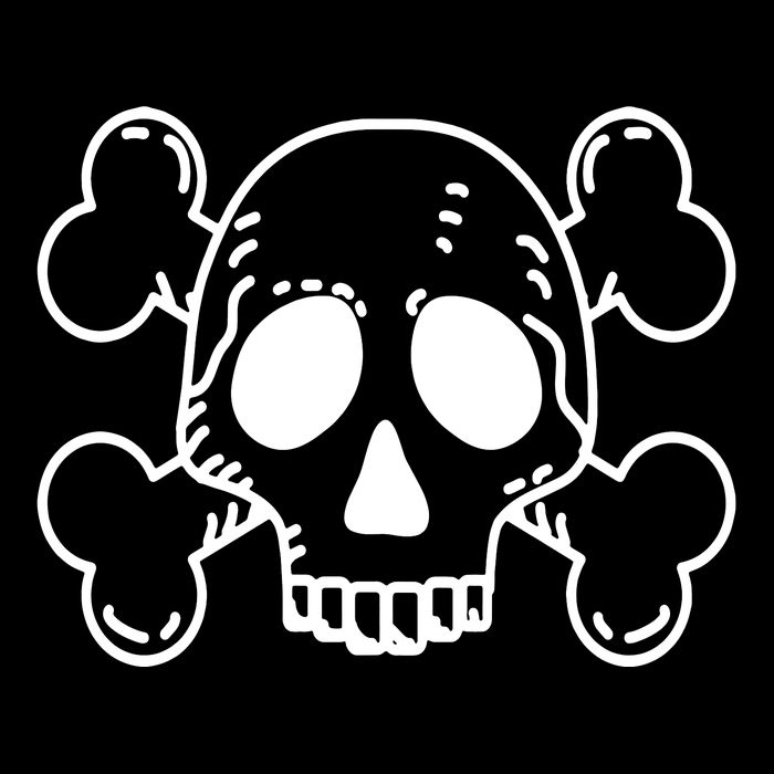 Skull Pirate Women's Crop Top Tee