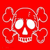 Skull Pirate 25L Jumbo Tote