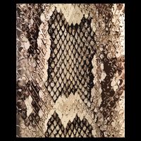 Snakeskin Print Snake Reptile Animal Rattlesnake T-Shirt