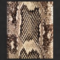 Snakeskin Print Snake Reptile Animal Rattlesnake 25L Jumbo Tote