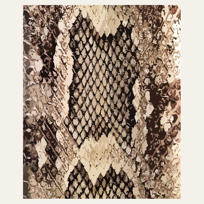 Snakeskin Print Snake Reptile Animal Rattlesnake Poster