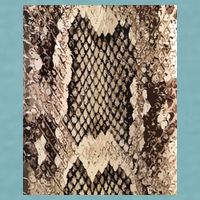 Snakeskin Print Snake Reptile Animal Rattlesnake Sueded Cloud Jersey T-Shirt