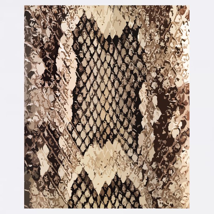 Snakeskin Print Snake Reptile Animal Rattlesnake Garment-Dyed Sweatshirt
