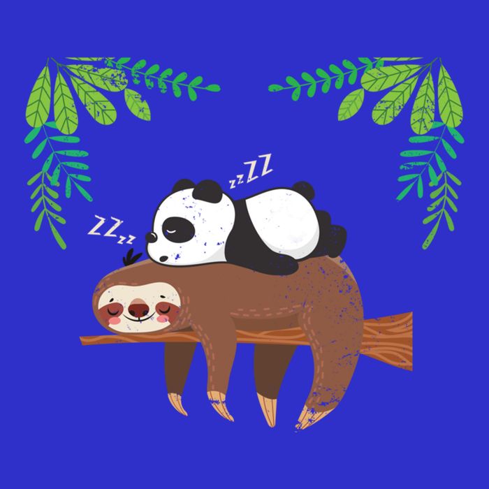Sleeping Panda Sloth Gift V-Neck T-Shirt