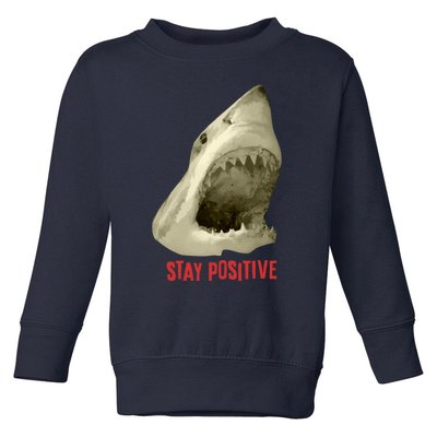 Stay Positive Toddler Sweatshirt