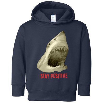 Stay Positive Toddler Hoodie