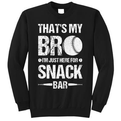 Sports Player Siblings Brother Baseball Costume Batter Sweatshirt