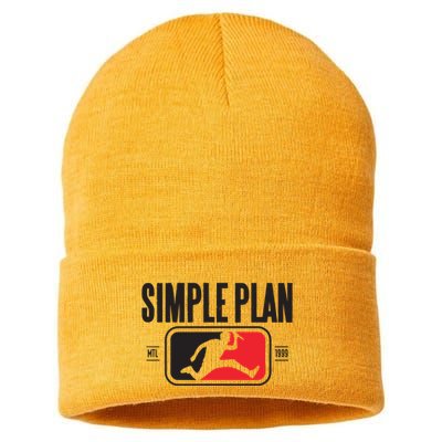 Simple Plan Style Logo Raglan Sustainable Knit Beanie