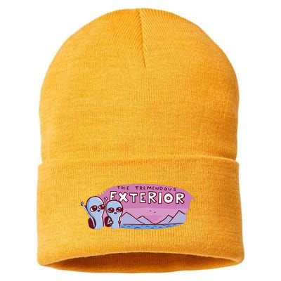 Strange Planet The Tremendous Exterior Sustainable Knit Beanie