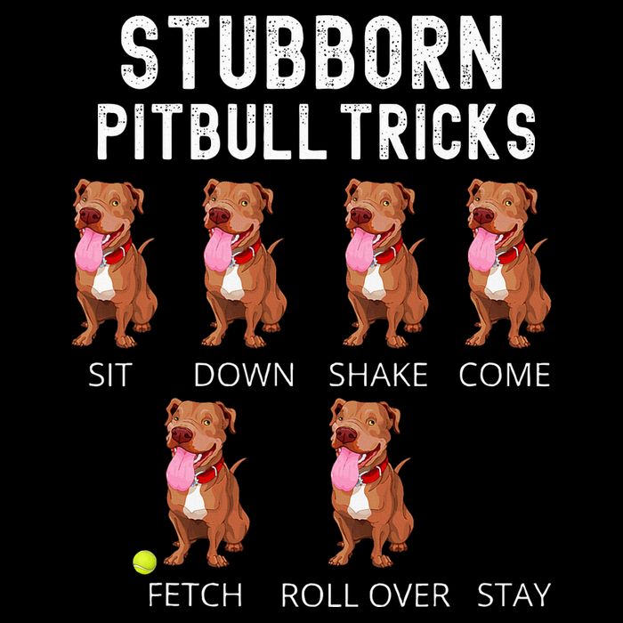 Stubborn Pitbull Tricks Dog Gift Cropped Pullover Crew
