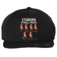 Stubborn Pitbull Tricks Dog Gift Wool Snapback Cap