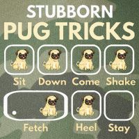 Stubborn Pug Tricks Funny Pug Saying Pug Owner Pug Legacy Tie Dye Trucker Hat