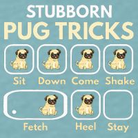 Stubborn Pug Tricks Funny Pug Saying Pug Owner Pug Sueded Cloud Jersey T-Shirt