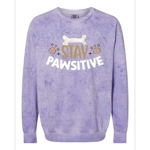 Stay Pawsitive With Bone And Paw Print Gift Colorblast Crewneck Sweatshirt