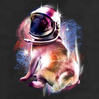 Space Pug Wearing Helmet Adult Drive Performance Visor
