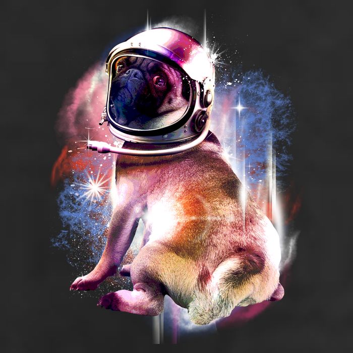 Space Pug Wearing Helmet Adult Drive Performance Visor