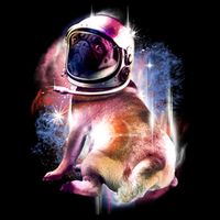 Space Pug Wearing Helmet 16oz Travel Tumbler