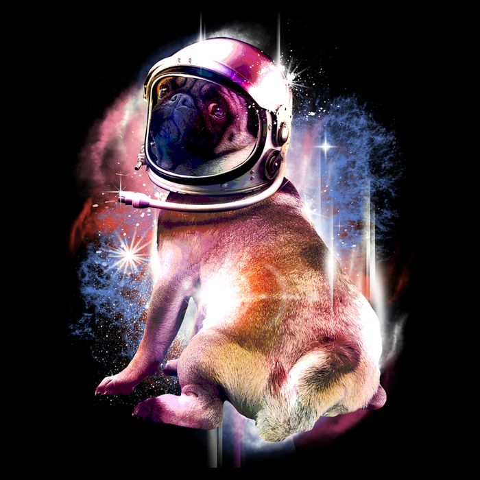 Space Pug Wearing Helmet 16oz Travel Tumbler