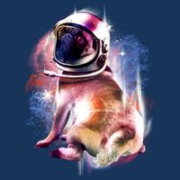 Space Pug Wearing Helmet Cooling Performance Crew T-Shirt