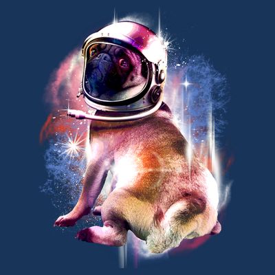 Space Pug Wearing Helmet T-Shirt