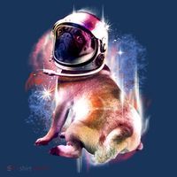Space Pug Wearing Helmet Flatbill Hat
