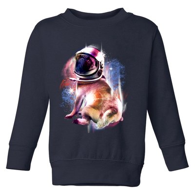 Space Pug Wearing Helmet Toddler Sweatshirt