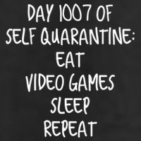 Self Quarantine Eat Video Games Sleep Repeat Cool Gift Adult Drive Performance Visor