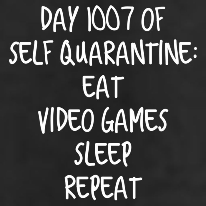 Self Quarantine Eat Video Games Sleep Repeat Cool Gift Adult Drive Performance Visor