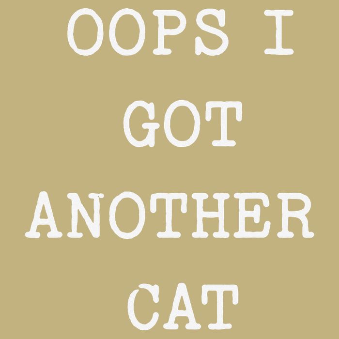 Sarcastic Quote Saying Gift Oops I Got Another Cat Mom Button